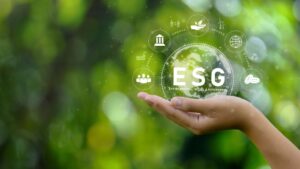 Is ESG the value add it seems to be?